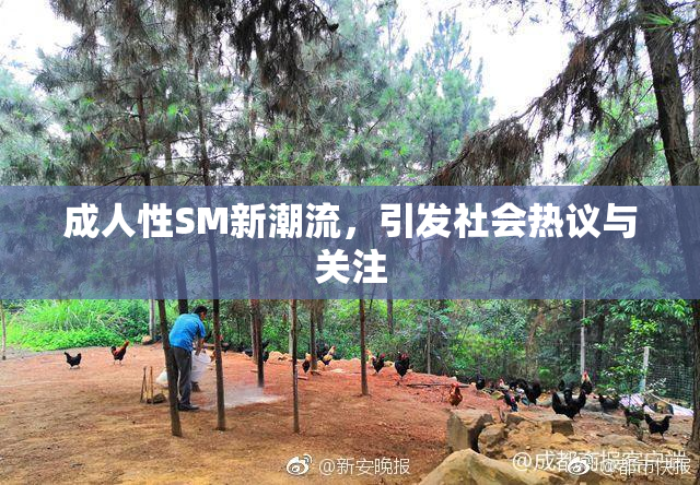 成人性SM新潮流，引发社会热议与关注