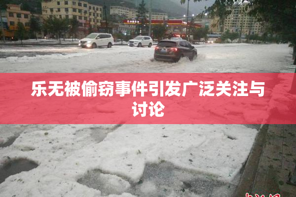 乐无被偷窃事件引发广泛关注与讨论