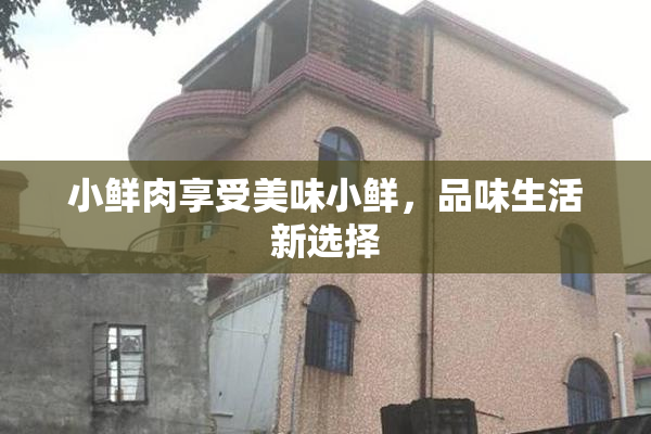 小鲜肉享受美味小鲜，品味生活新选择