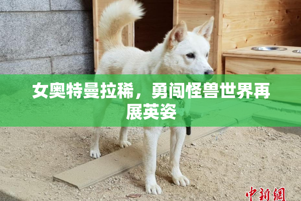 女奥特曼拉稀，勇闯怪兽世界再展英姿