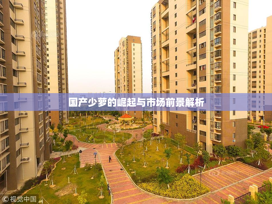 国产少萝的崛起与市场前景解析