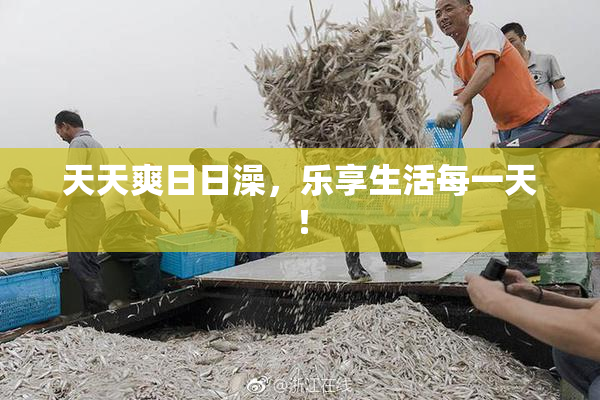 天天爽日日澡，乐享生活每一天！