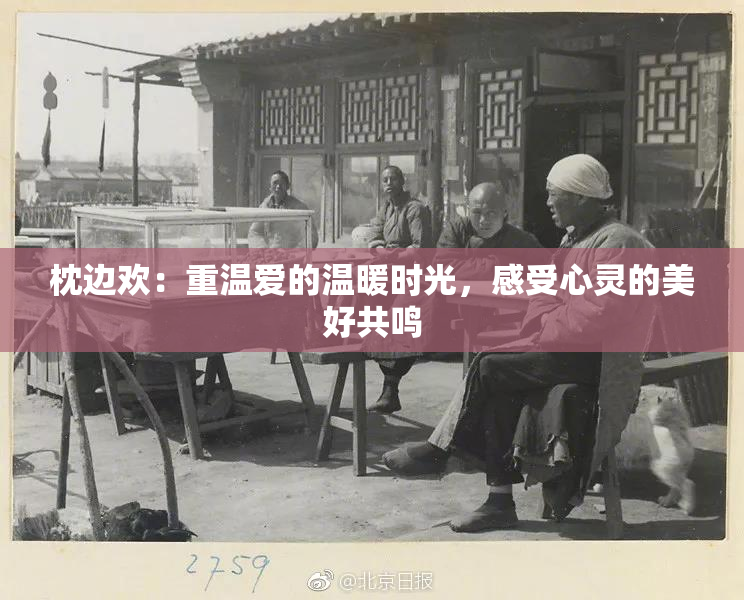 枕边欢：重温爱的温暖时光，感受心灵的美好共鸣
