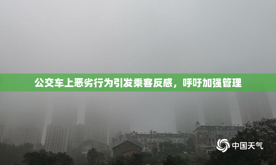 公交车上恶劣行为引发乘客反感，呼吁加强管理