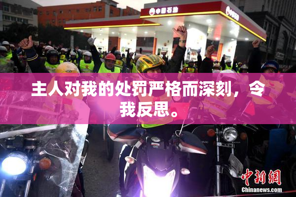 主人对我的处罚严格而深刻，令我反思。