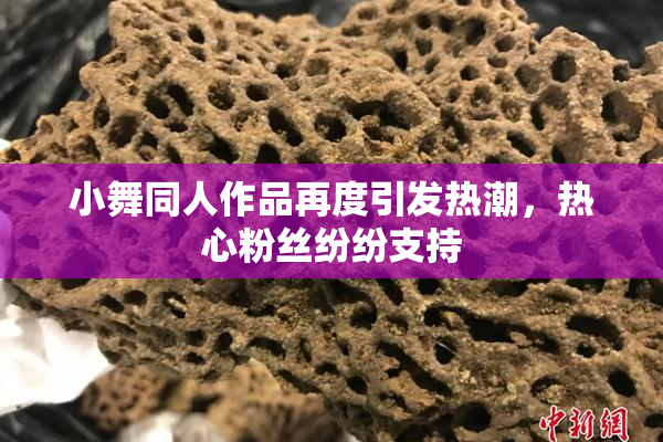小舞同人作品再度引发热潮，热心粉丝纷纷支持