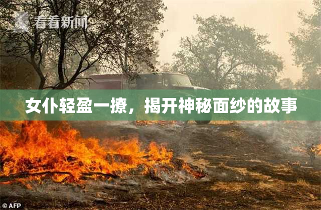 女仆轻盈一撩，揭开神秘面纱的故事
