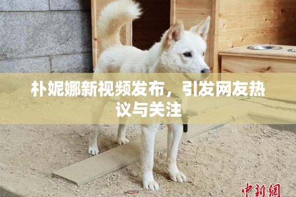 朴妮娜新视频发布，引发网友热议与关注