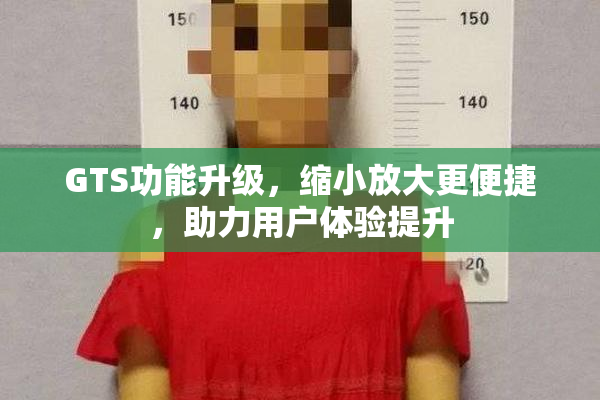GTS功能升级，缩小放大更便捷，助力用户体验提升