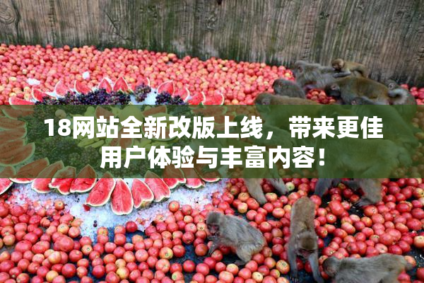 18网站全新改版上线，带来更佳用户体验与丰富内容！
