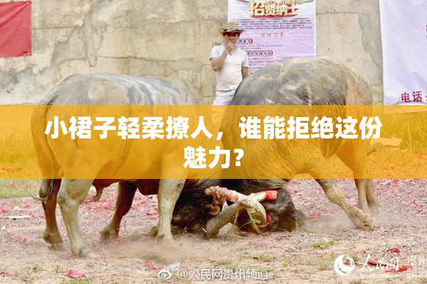 小裙子轻柔撩人，谁能拒绝这份魅力？