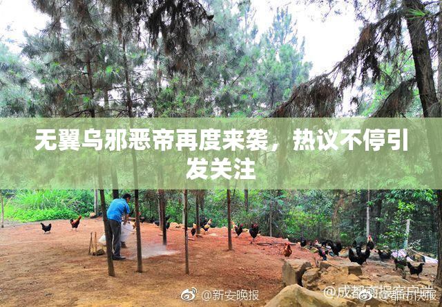 无翼乌邪恶帝再度来袭，热议不停引发关注