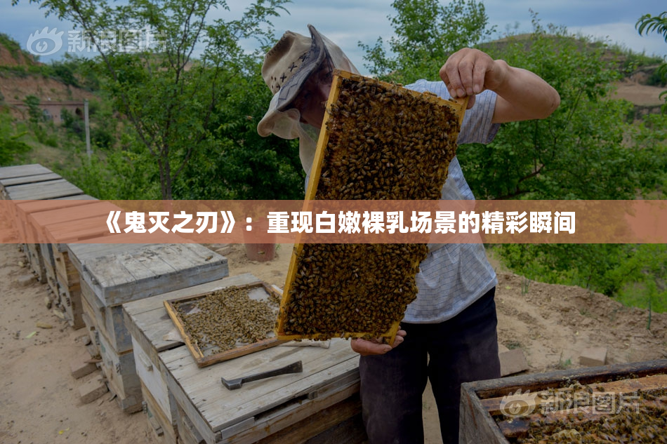 《鬼灭之刃》：重现白嫩裸乳场景的精彩瞬间