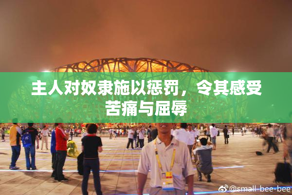 主人对奴隶施以惩罚，令其感受苦痛与屈辱