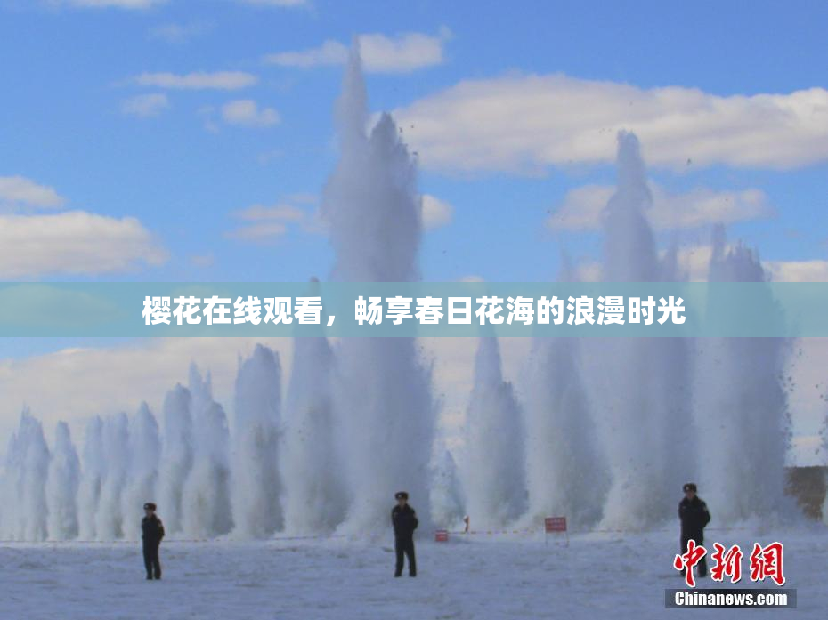 樱花在线观看，畅享春日花海的浪漫时光