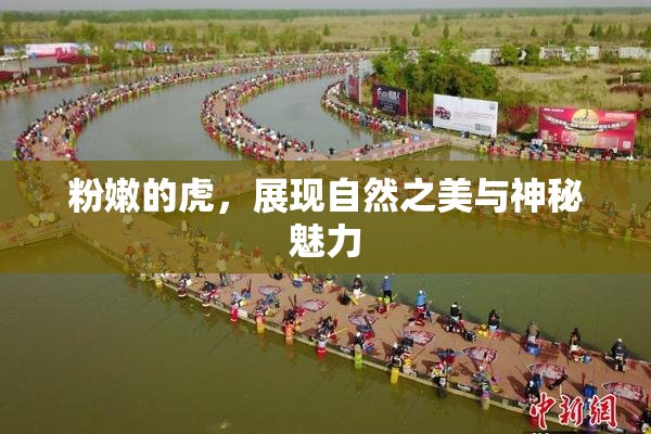 粉嫩的虎，展现自然之美与神秘魅力