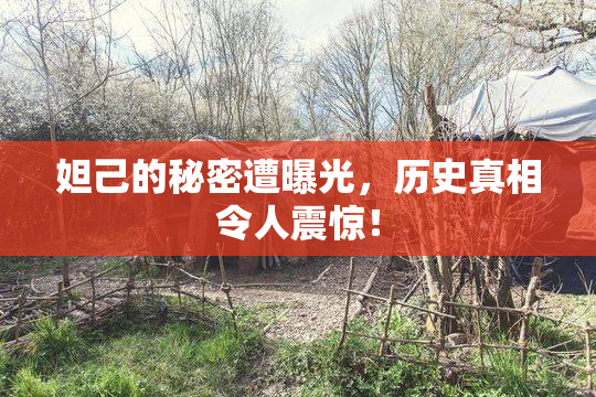 妲己的秘密遭曝光，历史真相令人震惊！