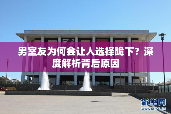 男室友为何会让人选择跪下？深度解析背后原因