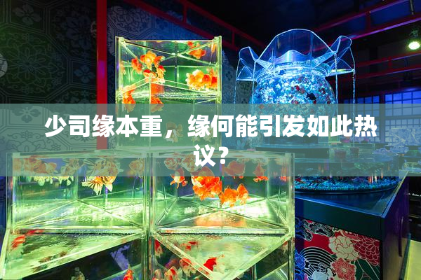 少司缘本重，缘何能引发如此热议？