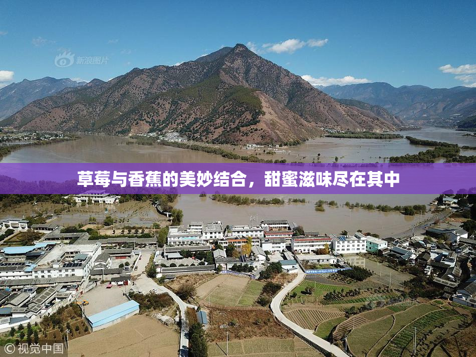 草莓与香蕉的美妙结合，甜蜜滋味尽在其中