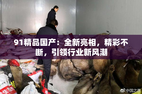91精品国产：全新亮相，精彩不断，引领行业新风潮