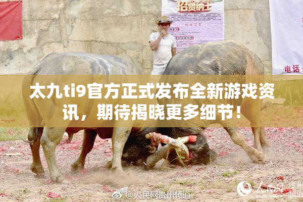 太九ti9官方正式发布全新游戏资讯，期待揭晓更多细节！