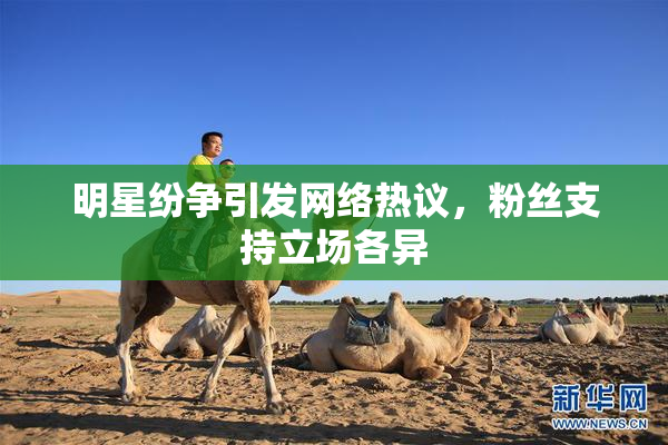 明星纷争引发网络热议，粉丝支持立场各异