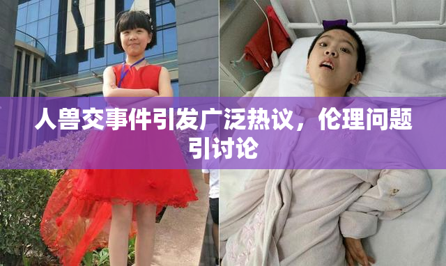 人兽交事件引发广泛热议，伦理问题引讨论