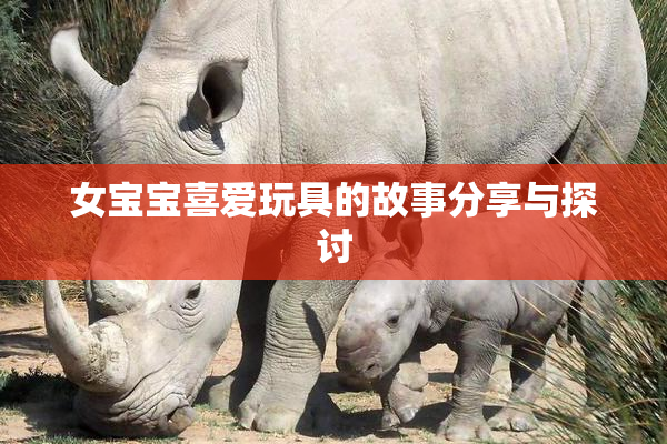 女宝宝喜爱玩具的故事分享与探讨
