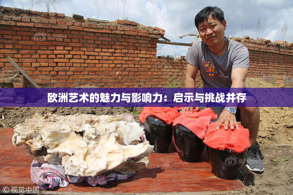 欧洲艺术的魅力与影响力：启示与挑战并存