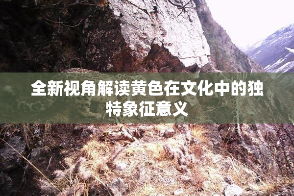 全新视角解读黄色在文化中的独特象征意义