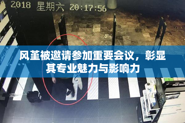 风堇被邀请参加重要会议，彰显其专业魅力与影响力