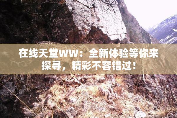 在线天堂WW：全新体验等你来探寻，精彩不容错过！