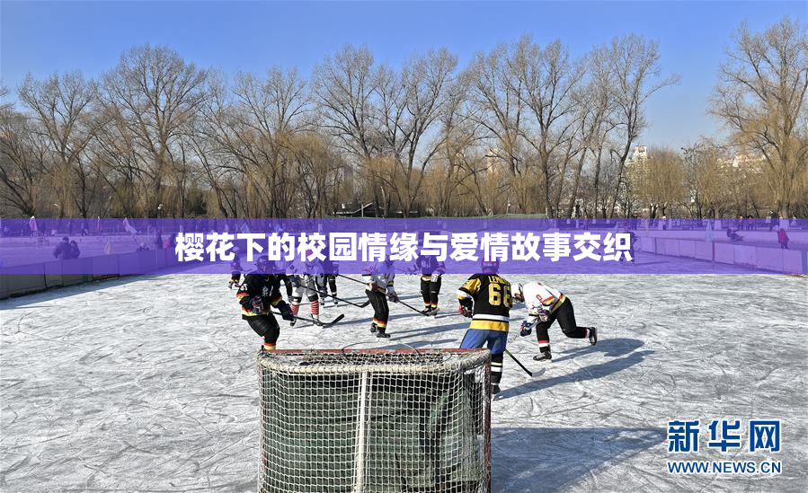 樱花下的校园情缘与爱情故事交织