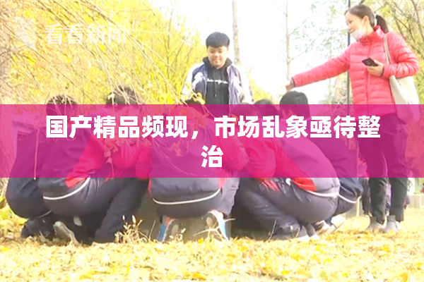 国产精品频现，市场乱象亟待整治
