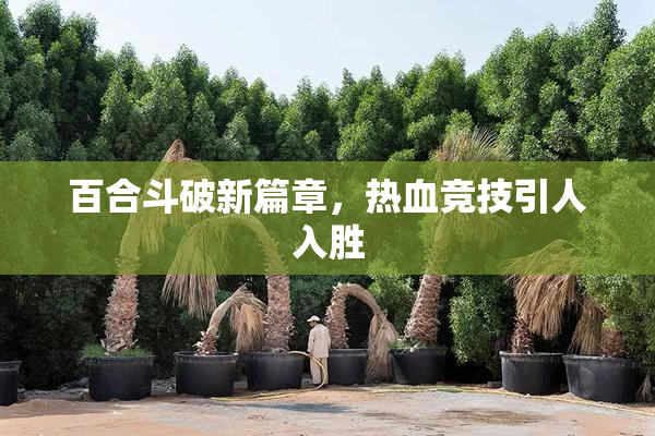 百合斗破新篇章，热血竞技引人入胜