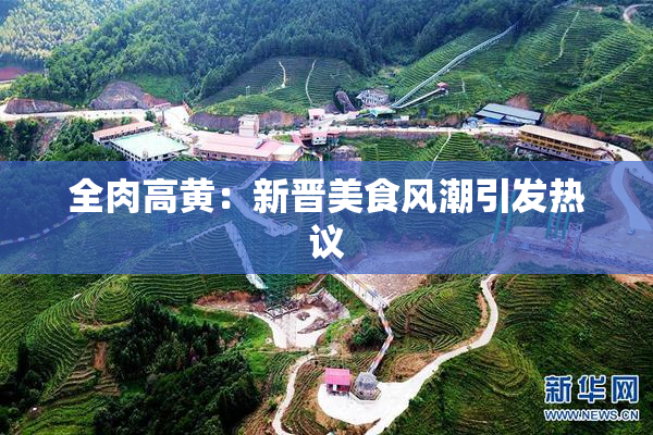 全肉高黄：新晋美食风潮引发热议