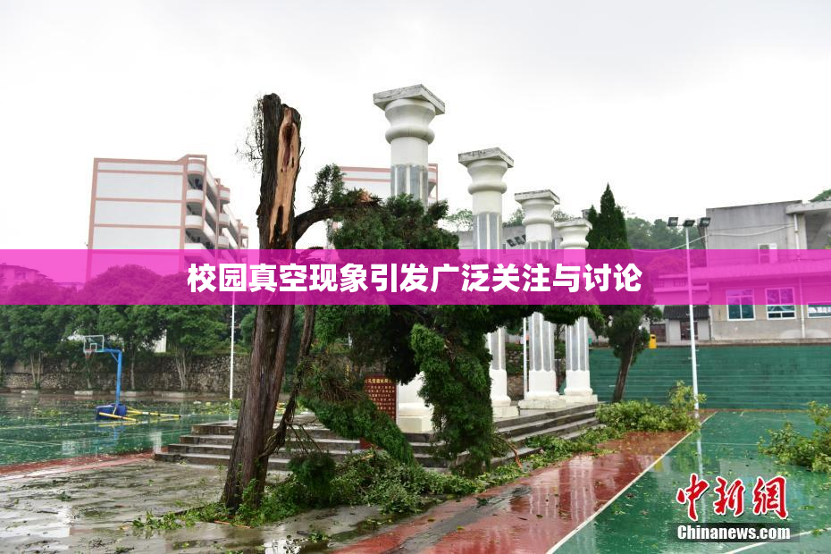 校园真空现象引发广泛关注与讨论