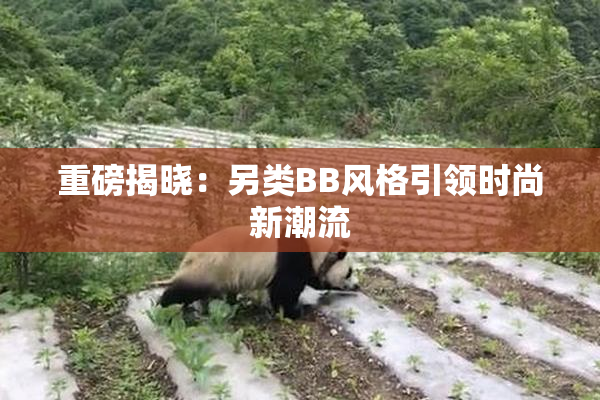 重磅揭晓：另类BB风格引领时尚新潮流