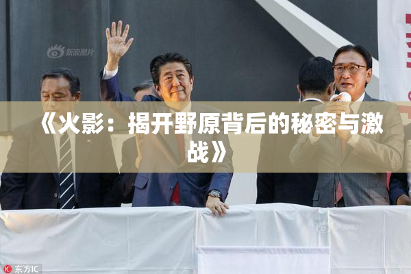《火影：揭开野原背后的秘密与激战》