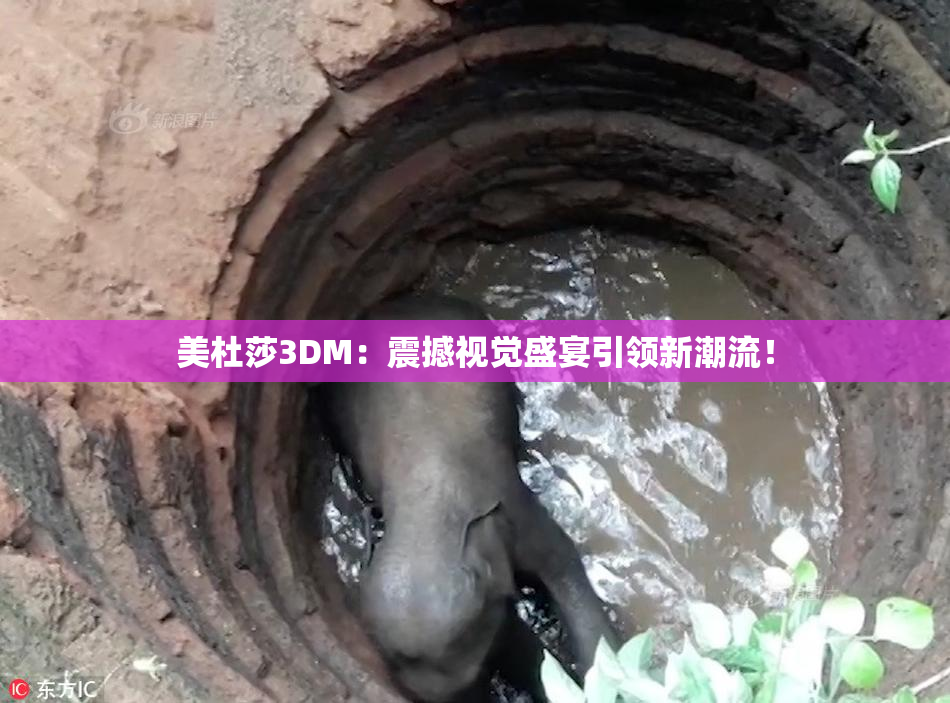 美杜莎3DM：震撼视觉盛宴引领新潮流！
