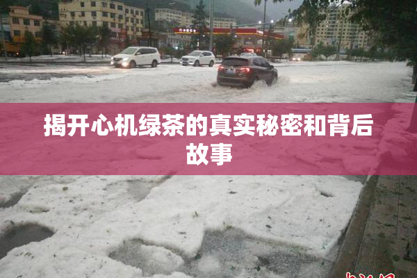 揭开心机绿茶的真实秘密和背后故事