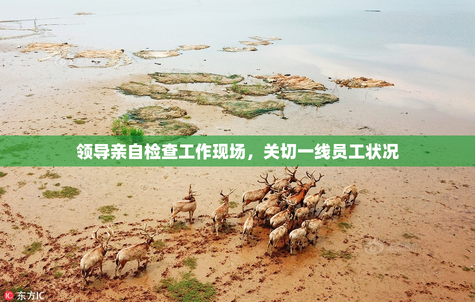 领导亲自检查工作现场，关切一线员工状况