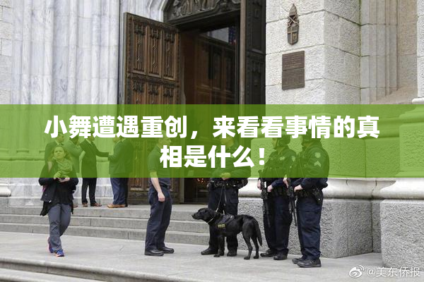 小舞遭遇重创，来看看事情的真相是什么！