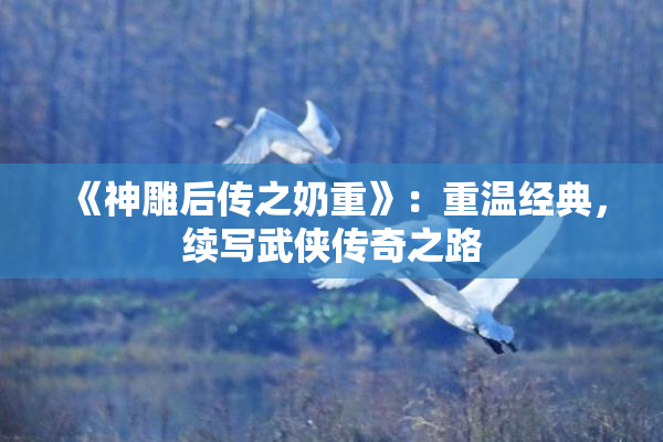 《神雕后传之奶重》：重温经典，续写武侠传奇之路