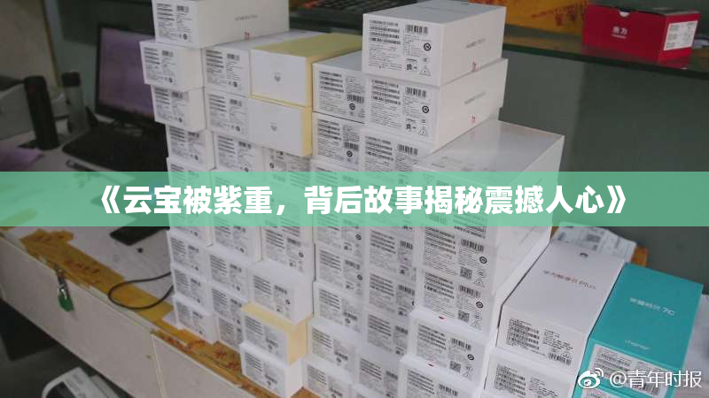 《云宝被紫重，背后故事揭秘震撼人心》