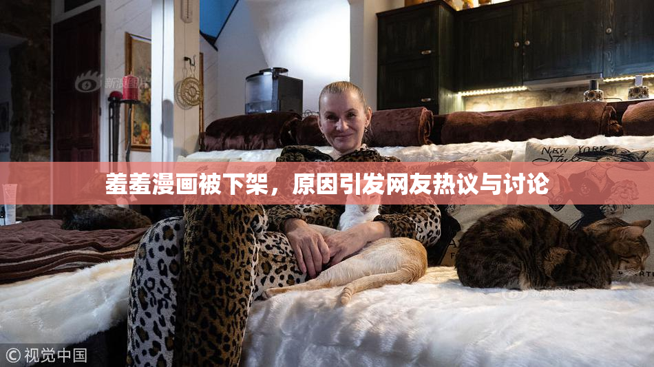 羞羞漫画被下架，原因引发网友热议与讨论