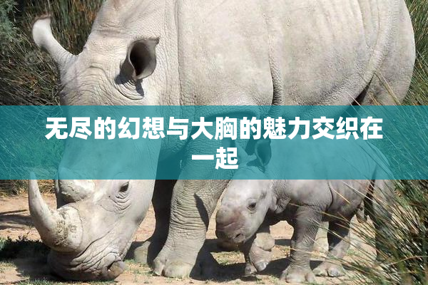 无尽的幻想与大胸的魅力交织在一起