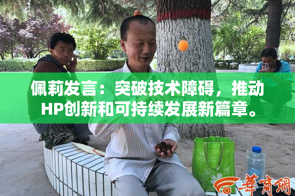 佩莉发言：突破技术障碍，推动HP创新和可持续发展新篇章。