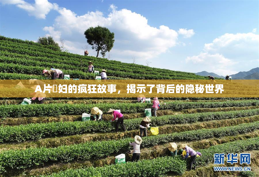 A片婬妇的疯狂故事，揭示了背后的隐秘世界
